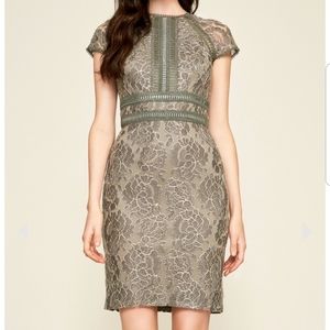 Tadashi Shoji Runyon Lace Metallic Embroidered dress Size 10